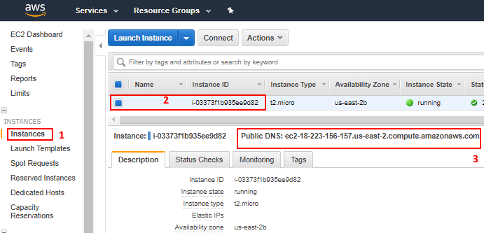 Amazon EC2 Console|Inctances: public DNS address